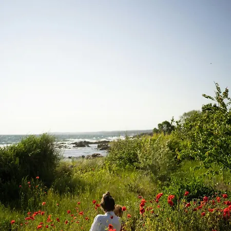 Charming House With Sea View In * アリンエ
